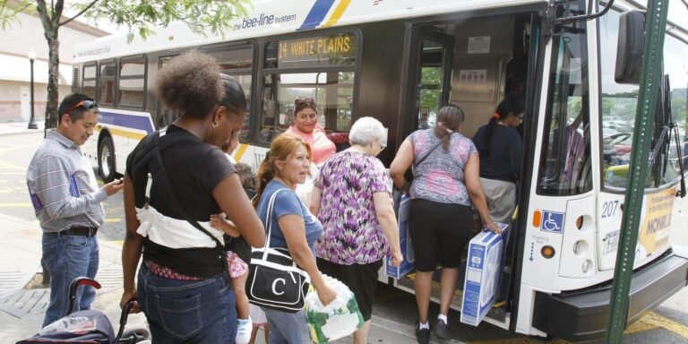Anuncian mejoras en servicio de autobús Bee-Line