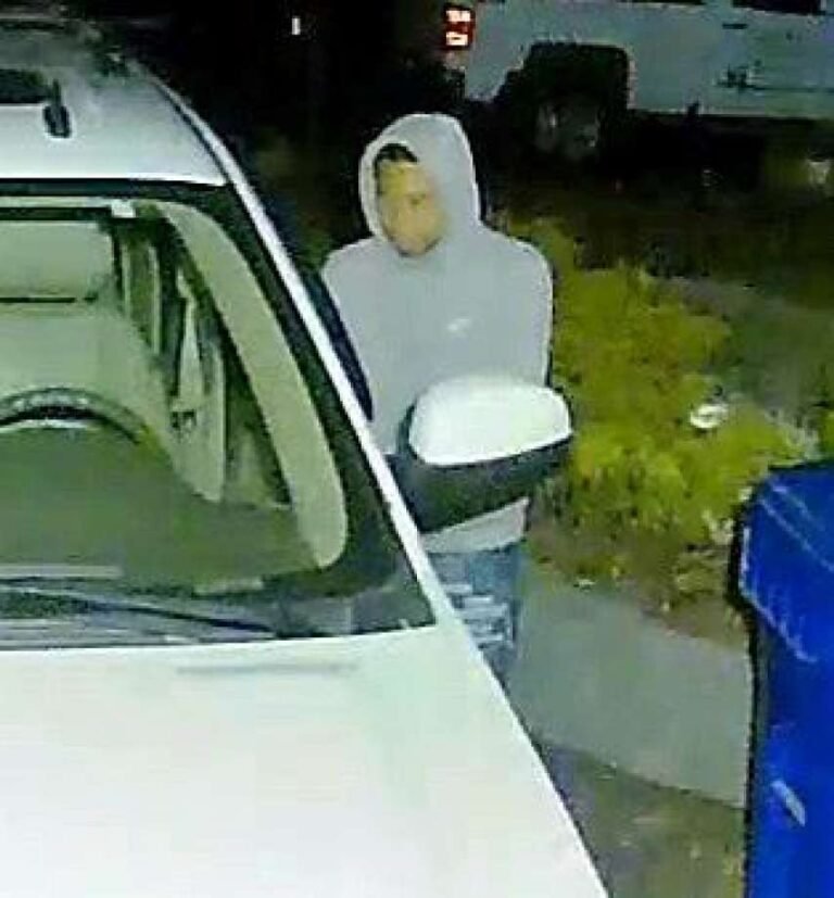 Cámara capta a sospechoso de robo de vehículos