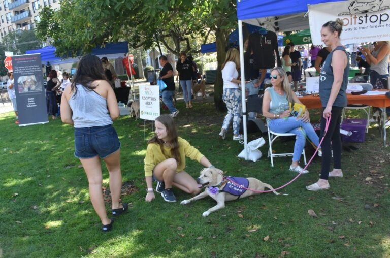 Celebran día especial para mascotas