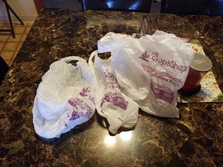 Ciudades impulsan prohibición de bolsas de plástico para proteger el medio ambiente