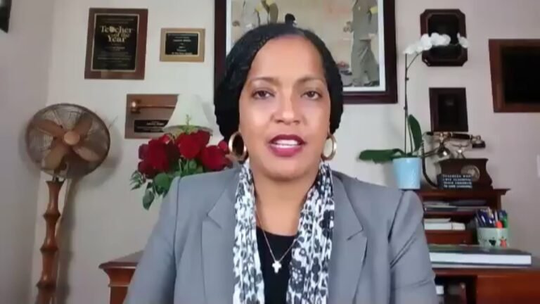 Congresista federal interrumpe reunión virtual tras recibir insultos raciales