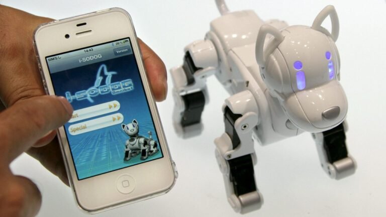 Advierten expertos: Cuidado con los “juguetes inteligentes” que se conectan a internet