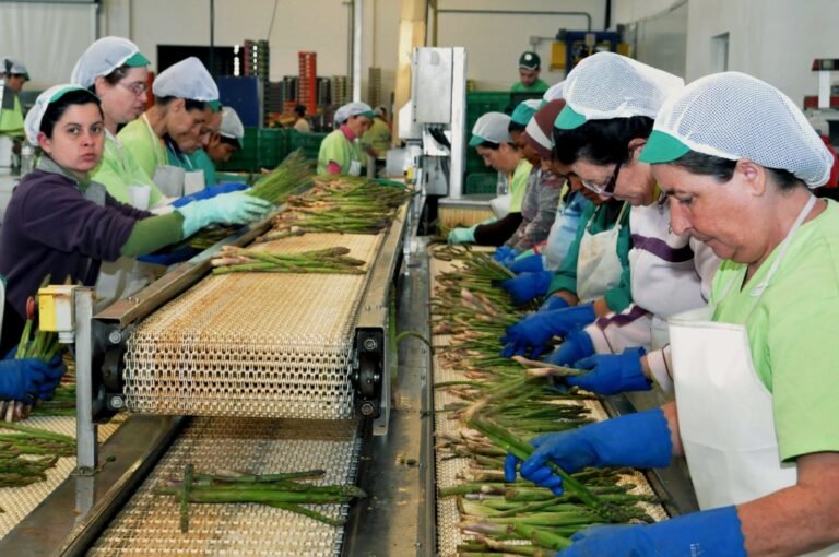 A nivel estatal: El 11 por ciento de las mujeres vive por debajo de umbral de pobreza