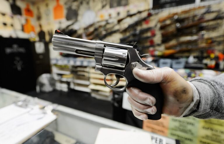 Encuesta revela fuerte apoyo para el control de armas