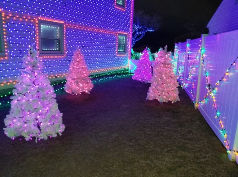 Familias disfrutan de la “Casa de las Luces” 