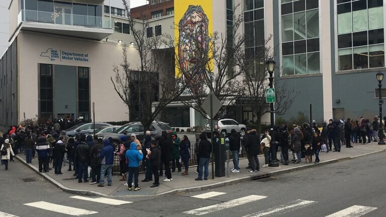 Largas filas de indocumentados para obtener licencias de conducir