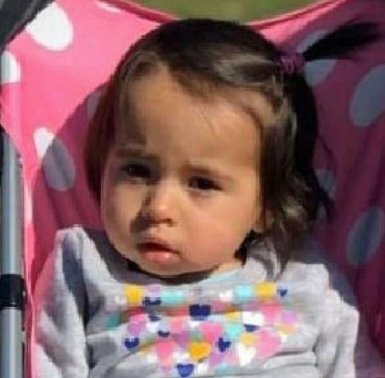 Niña hispana reportada como desaparecida después de homicidio doméstico