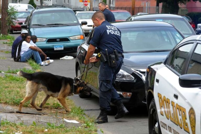 Policía disminuye paradas de tráfico para conductores hispanos