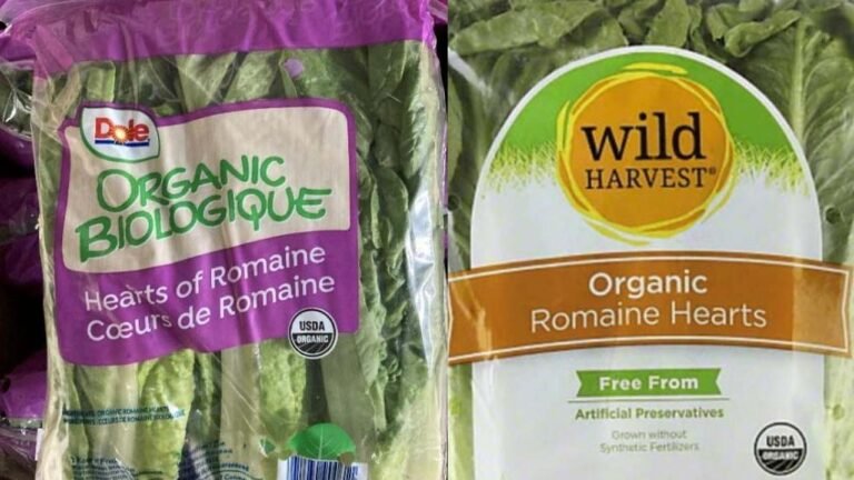 Retiran del mercado lechuga romana por riesgo de peligrosa bacteria