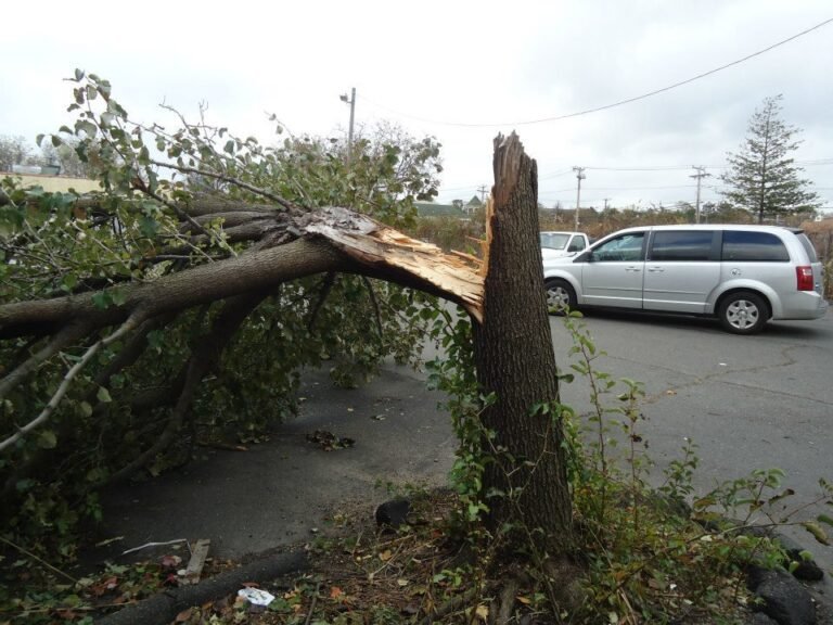 Retiro de escombros comenzará el 14 de marzo