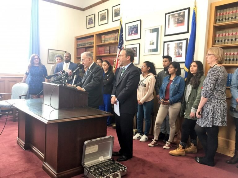 Senado aprueba extensión de acceso a ayuda financiera para los dreamers