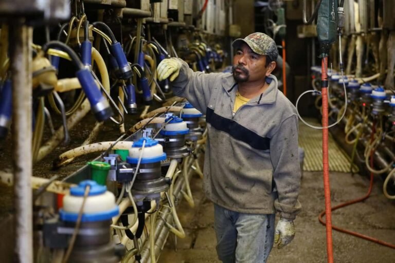 Trabajadores hispanos con salarios bajos no ven alivio a la incertidumbre de la pandemia