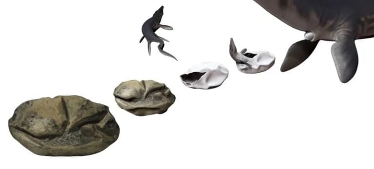 Universidad de Colombia rinde homenaje al Fundador-Director de EL SOL News