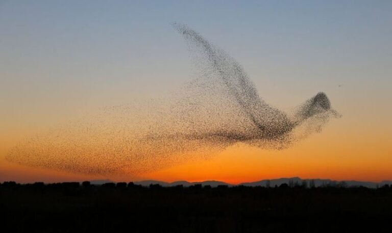 Fotografió una maravilla natural que solo se puede capturar una vez en la vida