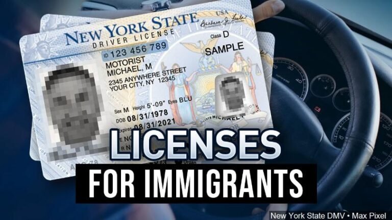 Presentan demanda por aprobación de ley que otorga licencias para conducir a indocumentados