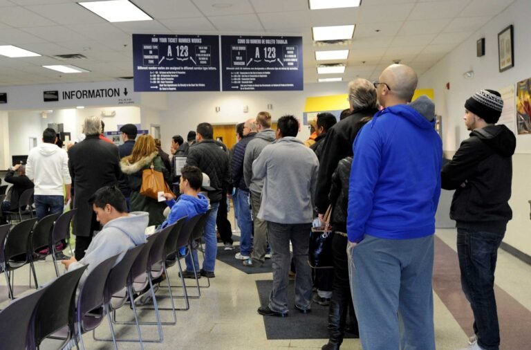 Extienden fechas para renovar licencias para conducir