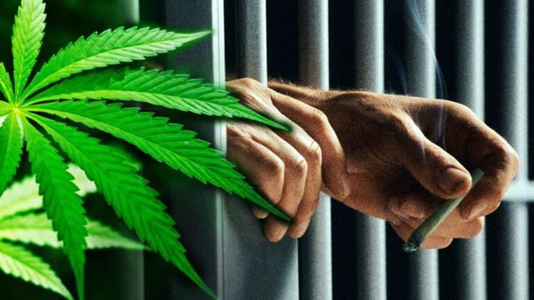 Descubren marihuana en prisión y varios presos son enviados a viviendas restrictivas