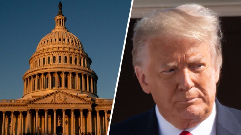 Demócratas defienden legalidad del juicio a Trump con poderoso video del asalto al Capitolio