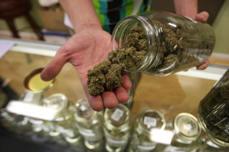 Comité Judicial de la Legislatura aprueba marihuana recreativa