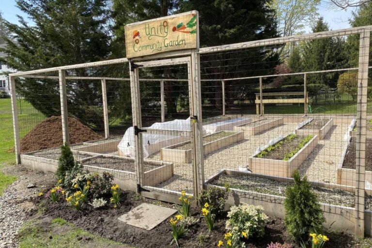 Crean jardín para brindar opciones de alimentos más saludables