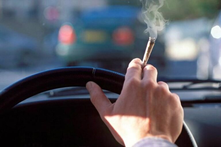 Expertos señalan que NY debe fortalecer leyes de conducción bajo los efectos de las drogas después de legalizar la marihuana recreativa