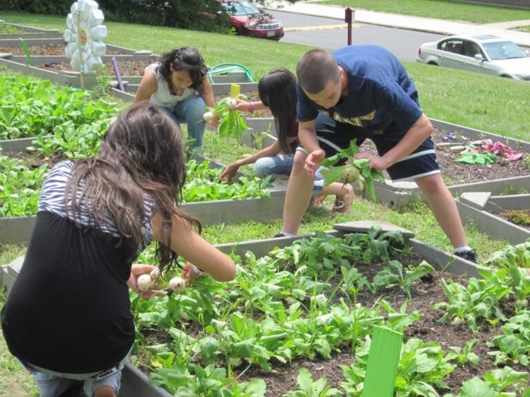 Estudiantes aprenden a alimentar a necesitados gracias a jardín comunitario