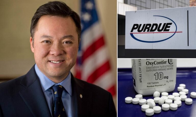 Fiscal alega intimidación al Estado en el caso de quiebra de Purdue Pharma