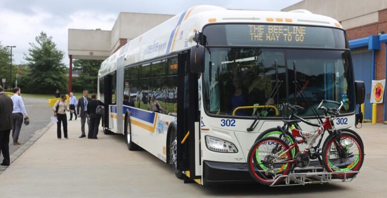 Anuncian mejoras en el servicio de autobuses Bee-Line