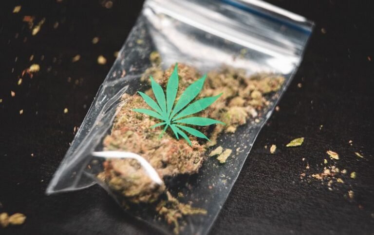 No permiten posesión de marihuana en tribunales de CT