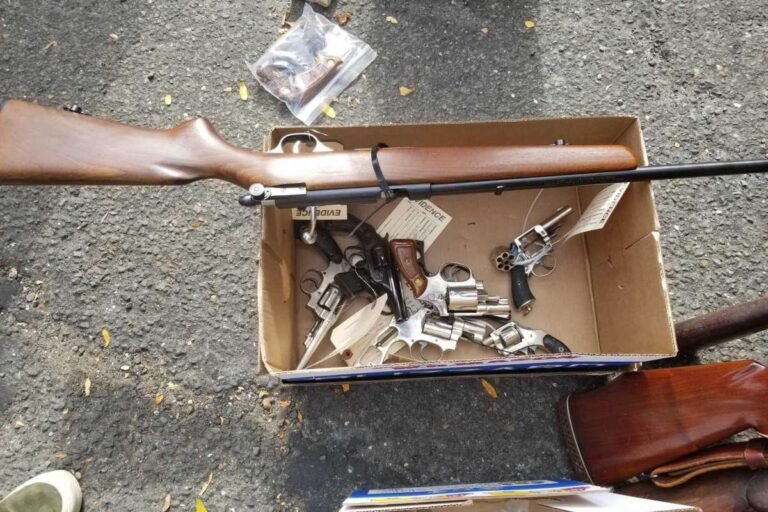 Departamento de Policía recolecta 30 armas en evento de recompra