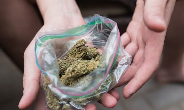 Advierten sobre marihuana mezclada con fentanilo después de docenas de sobredosis