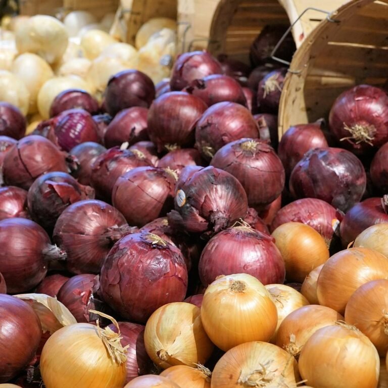 Relacionado con las cebollas: Número de enfermos por el brote de salmonela sigue aumentando