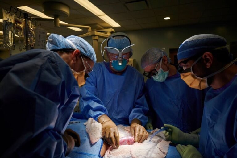 Realizan primer trasplante de corazón de cerdo a humano