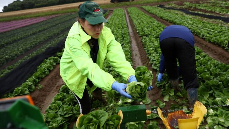 Escasez de trabajadores en EEUU está lejos de terminar