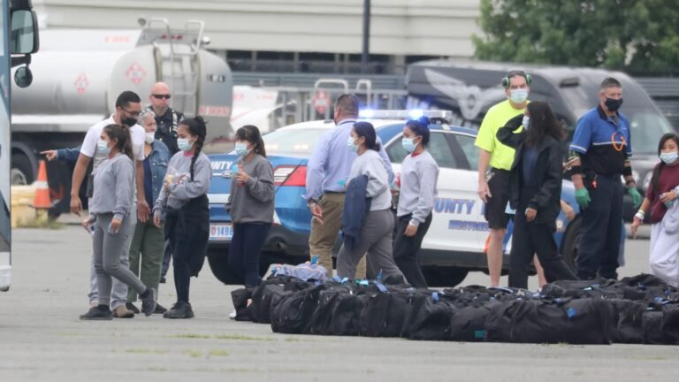Piden a Gobernadora que identifique a indocumentados transportados en avión a Westchester