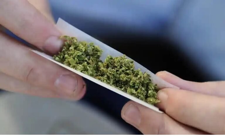 Aquellos que regalen marihuana serán multados con $1,000