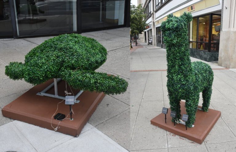 Esculturas artísticas de arbustos adornarán centro de Stamford
