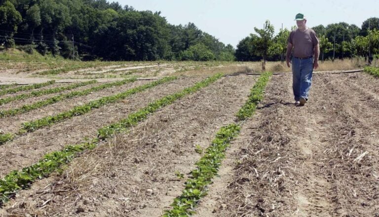 Agricultores del este de CT sienten efectos de condiciones de sequía