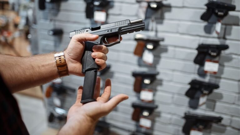 Las disposiciones de la nueva ley de armas y salud mental