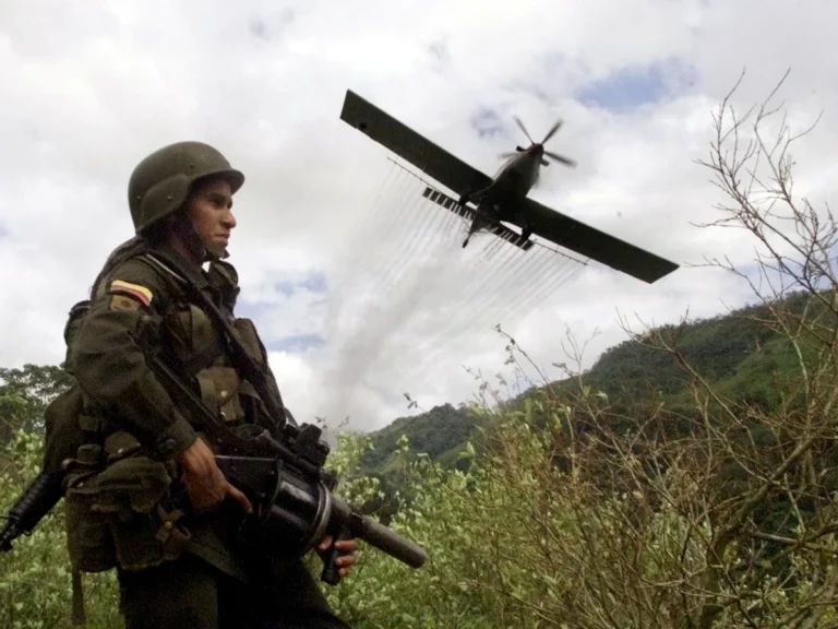 Gobierno de Colombia señala que informe de la Casa Blanca reconoce su lucha contra el narcotráfico