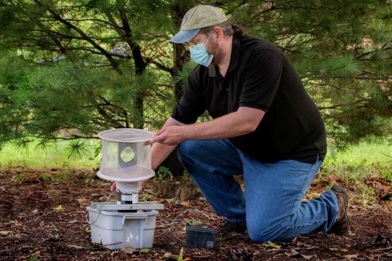 Mosquitos dan positivo para virus del Nilo Occidental en 17 ciudades de CT
