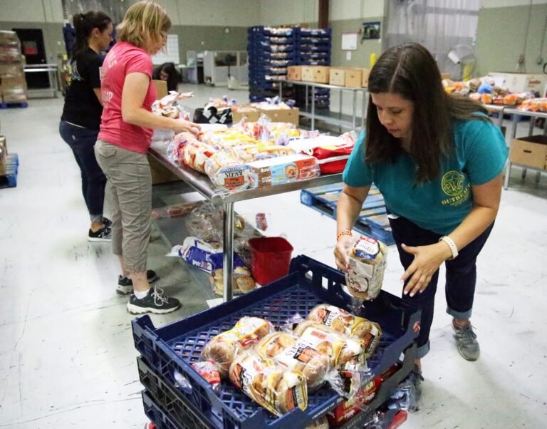 Inseguridad alimentaria en CT aumentó este año, según encuesta