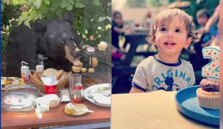 Oso irrumpe en cumpleaños de niño