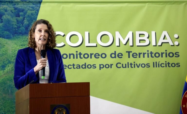 Los cultivos de coca se disparan en Colombia con un crecimiento del 43% en 2021