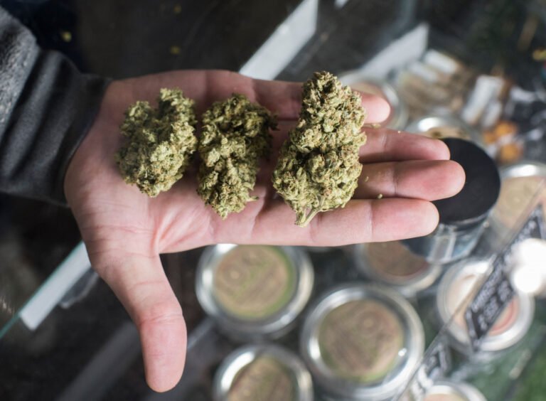 Una de las primeras tiendas de cannabis en CT podría abrir en West Hartford