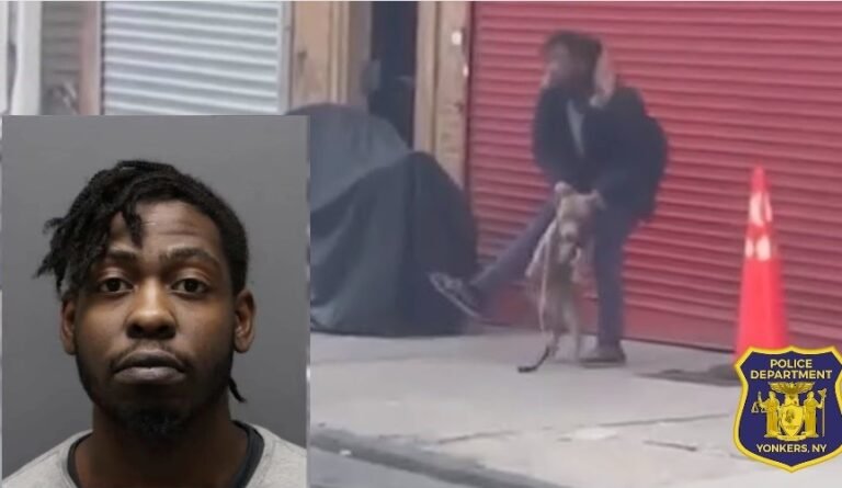 Acusado de abusar de un perro