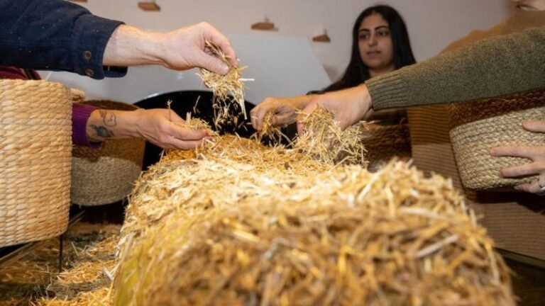 Estado de NY legaliza compostaje de cuerpos humanos