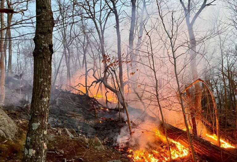 Advierten a familias sobre peligro de incendios forestales