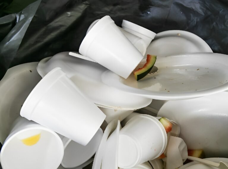 Legisladores de CT buscan prohibir envases de espuma de un solo uso