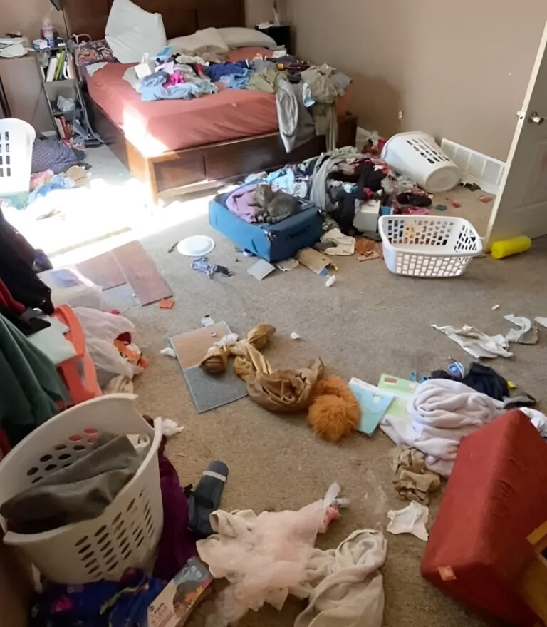 Una mujer se divorcia de su marido porque no limpiaba la casa